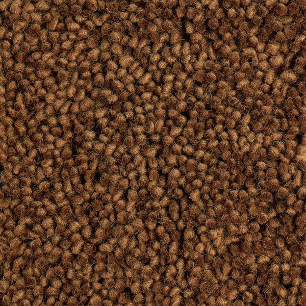 Te Aroha Large Samples