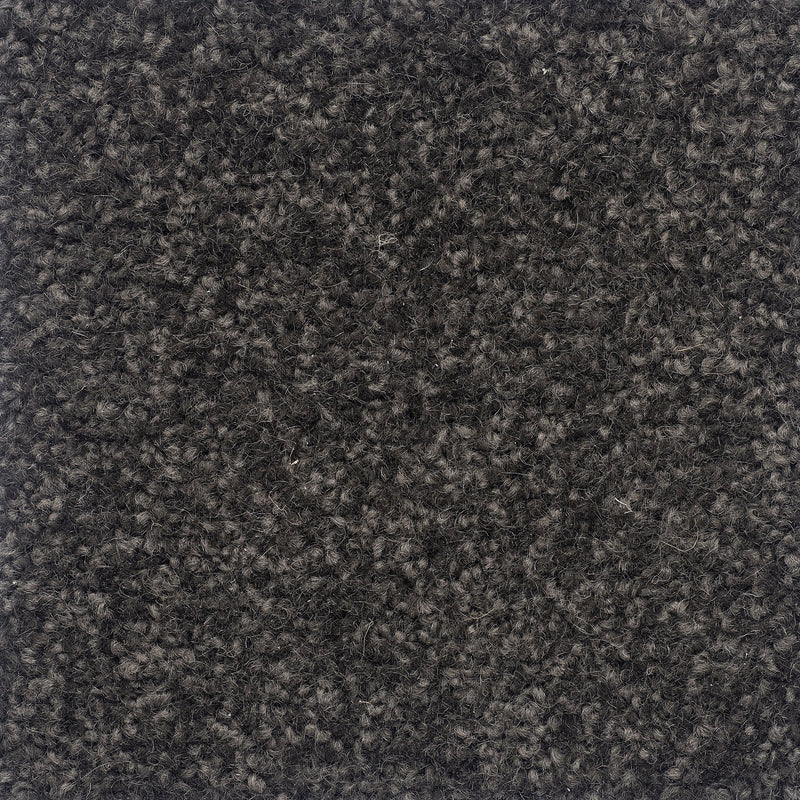 Castilla Large Samples