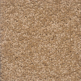 Castilla Large Samples