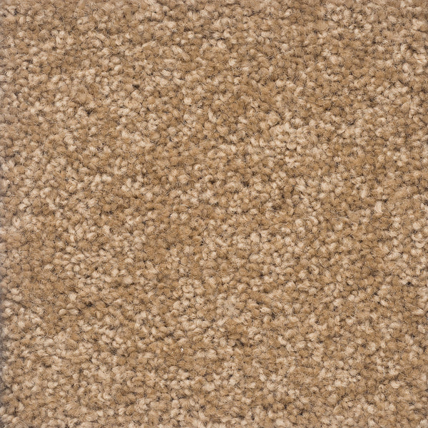 Castilla Large Samples