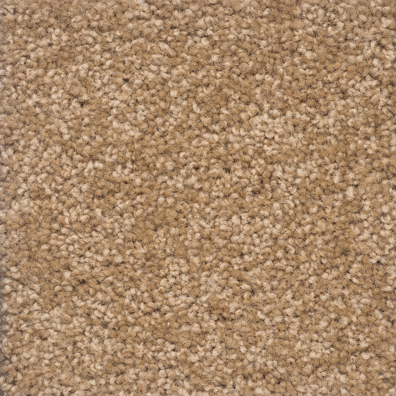 Castilla Large Samples