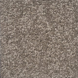 Castilla Large Samples