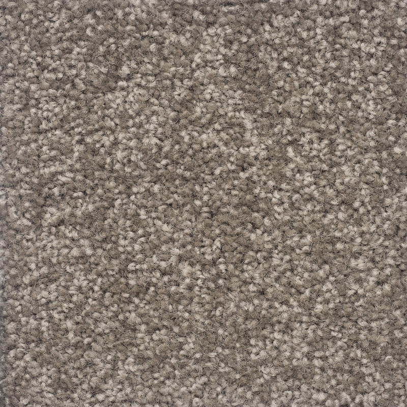 Castilla Large Samples