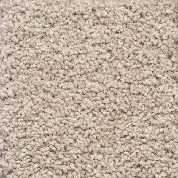 Charmeuse Large Samples