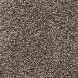 Charmeuse Large Samples