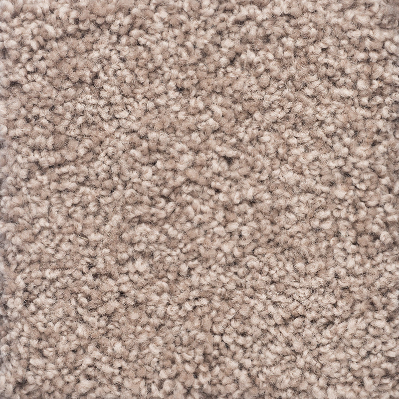 Charmeuse Large Samples