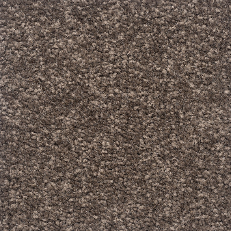 The Hamptons Large Samples