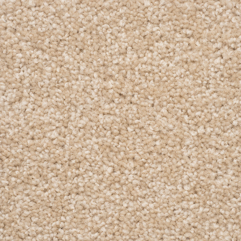 The Hamptons Large Samples