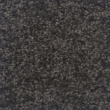 The Hamptons Large Samples