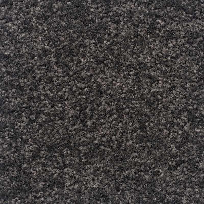 The Hamptons Large Samples