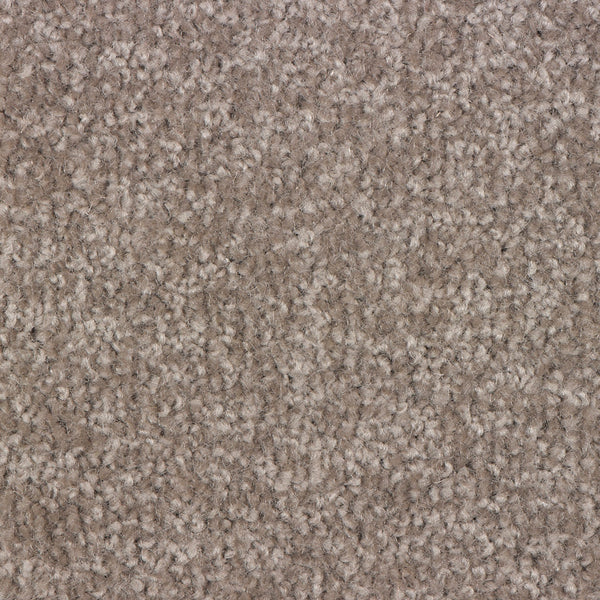 Trojan Twist Large Samples